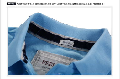 欧美经典翻领男士Polo衫 天兰色调与弹性织带的时尚融合